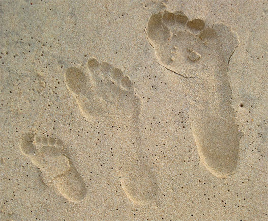 fussabdruck