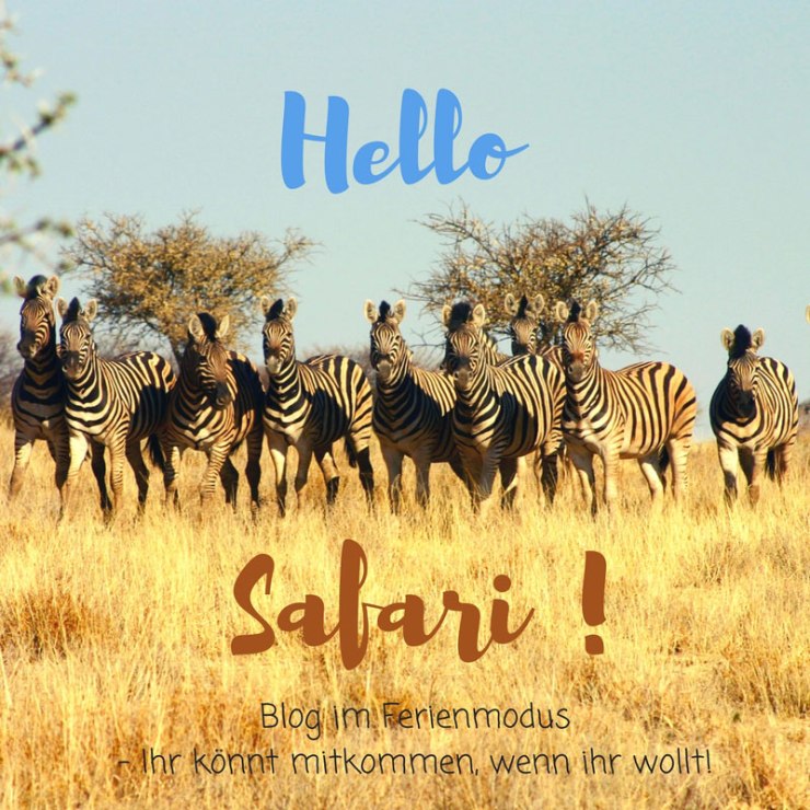 Hellosafari
